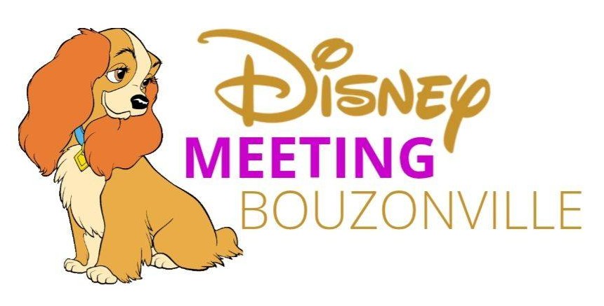 Disney Meeting Bouzonville