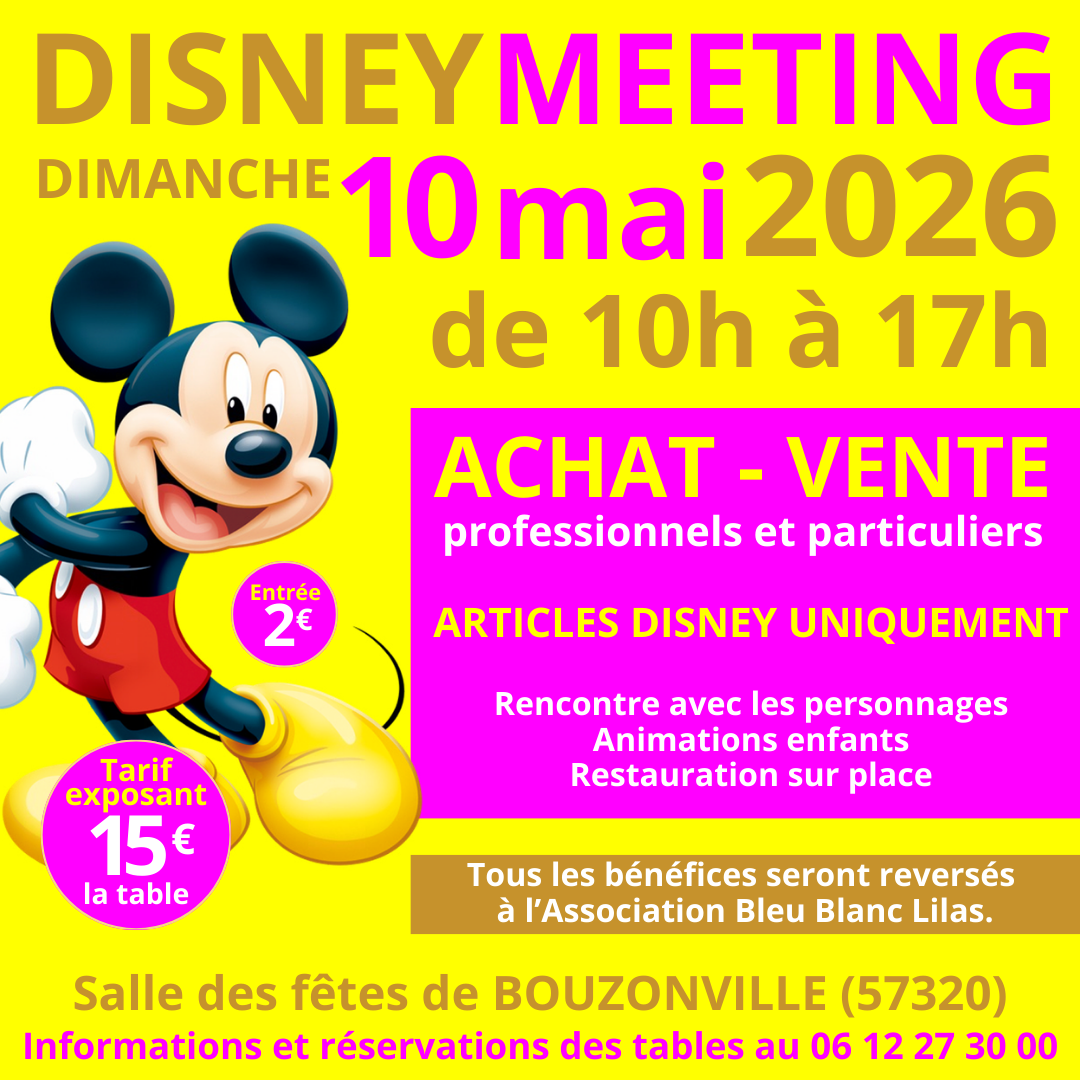 DISNEY MEETING MAI 2026